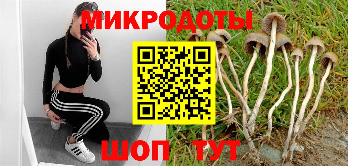 Галлюциногенные грибы MAGIC MUSHROOMS Ртищево