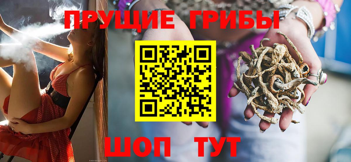 Ртищево  Галлюциногенные грибы MAGIC MUSHROOMS  Псилоцибиновые грибы Psilocybe  Вход с VPN 